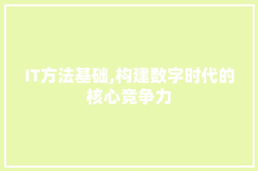 IT方法基础,构建数字时代的核心竞争力