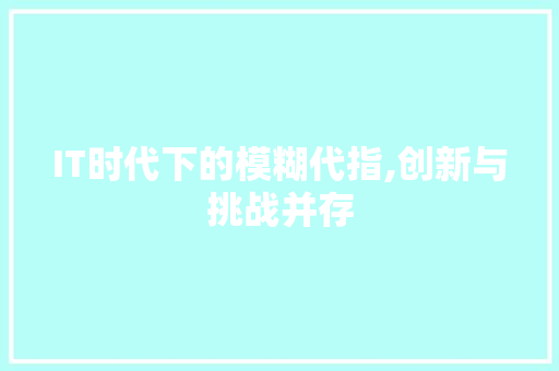 IT时代下的模糊代指,创新与挑战并存