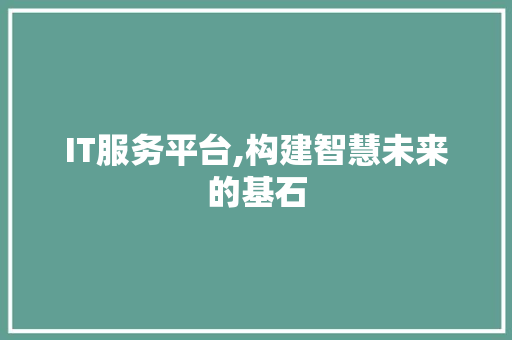 IT服务平台,构建智慧未来的基石