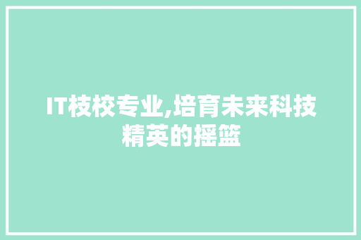 IT枝校专业,培育未来科技精英的摇篮