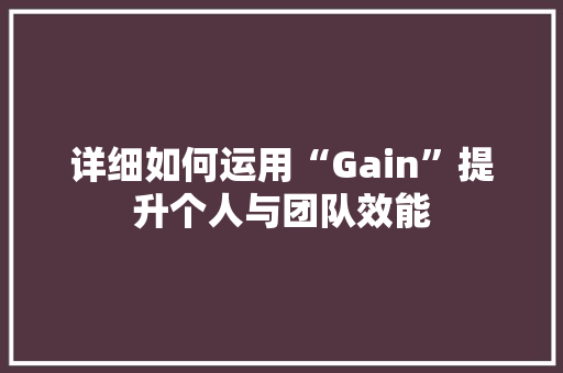 详细如何运用“Gain”提升个人与团队效能
