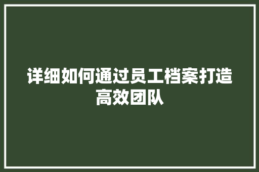 详细如何通过员工档案打造高效团队