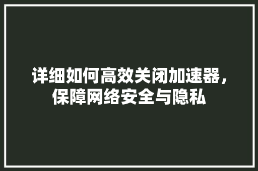 详细如何高效关闭加速器，保障网络安全与隐私
