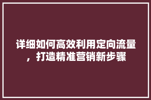 详细如何高效利用定向流量，打造精准营销新步骤