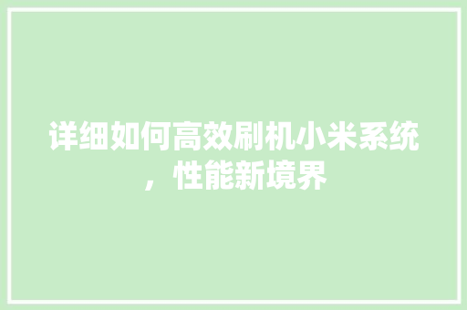 详细如何高效刷机小米系统，性能新境界