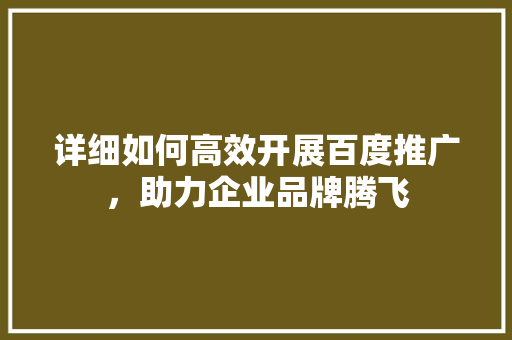 详细如何高效开展百度推广，助力企业品牌腾飞
