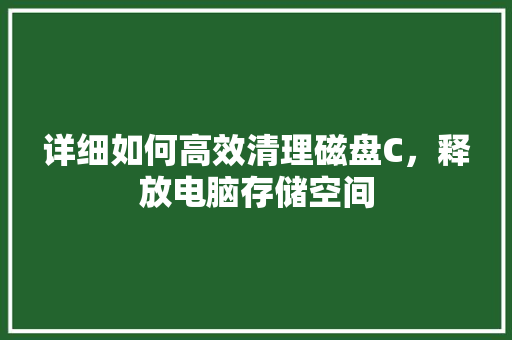详细如何高效清理磁盘C，释放电脑存储空间