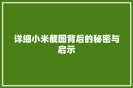 详细小米截图背后的秘密与启示