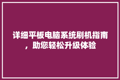 详细平板电脑系统刷机指南，助您轻松升级体验