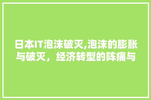 日本IT泡沫破灭,泡沫的膨胀与破灭，经济转型的阵痛与重生