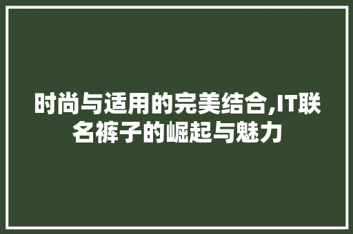 时尚与适用的完美结合,IT联名裤子的崛起与魅力