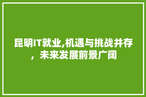 昆明IT就业,机遇与挑战并存，未来发展前景广阔
