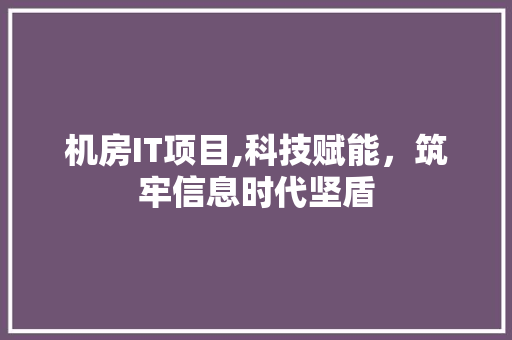 机房IT项目,科技赋能，筑牢信息时代坚盾