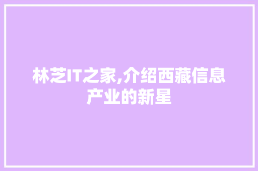 林芝IT之家,介绍西藏信息产业的新星