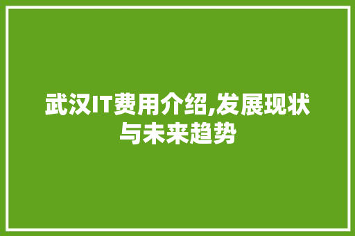 武汉IT费用介绍,发展现状与未来趋势