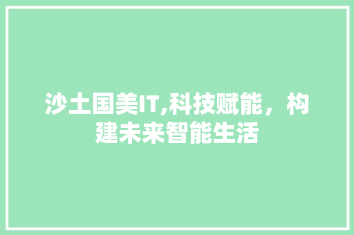 沙土国美IT,科技赋能，构建未来智能生活