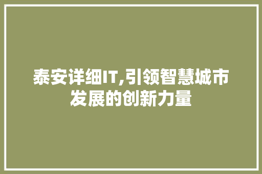 泰安详细IT,引领智慧城市发展的创新力量