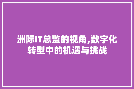 洲际IT总监的视角,数字化转型中的机遇与挑战
