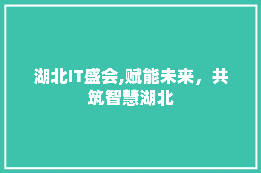 湖北IT盛会,赋能未来，共筑智慧湖北