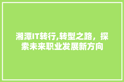 湘潭IT转行,转型之路，探索未来职业发展新方向