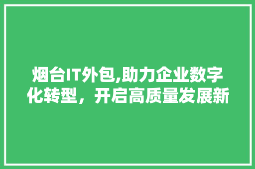 烟台IT外包,助力企业数字化转型，开启高质量发展新篇章