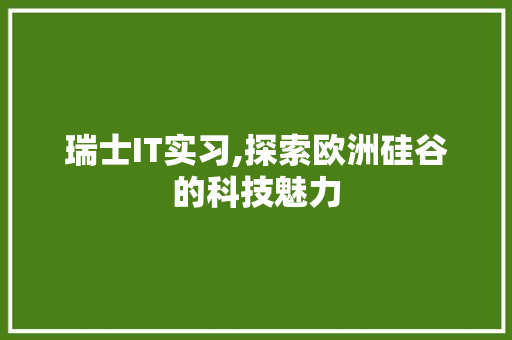 瑞士IT实习,探索欧洲硅谷的科技魅力