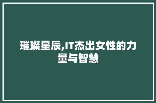 璀璨星辰,IT杰出女性的力量与智慧