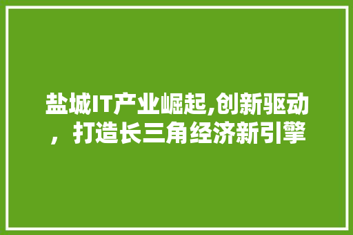 盐城IT产业崛起,创新驱动，打造长三角经济新引擎
