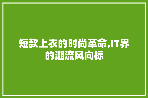 短款上衣的时尚革命,IT界的潮流风向标