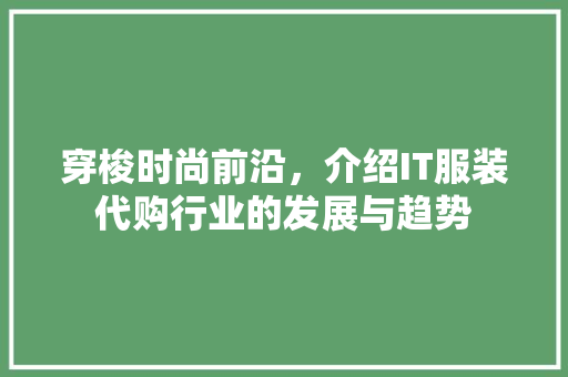 穿梭时尚前沿，介绍IT服装代购行业的发展与趋势