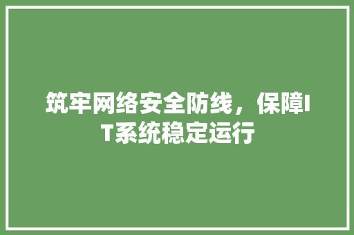 筑牢网络安全防线，保障IT系统稳定运行