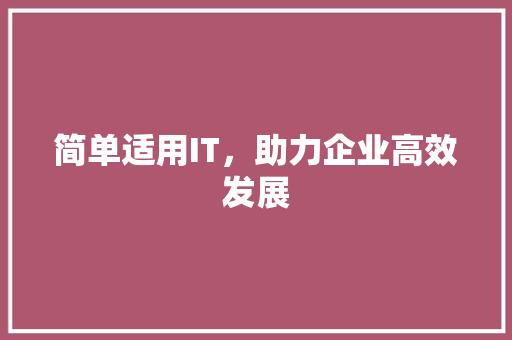 简单适用IT，助力企业高效发展