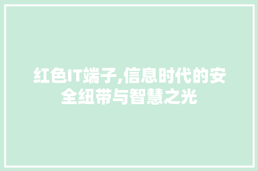 红色IT端子,信息时代的安全纽带与智慧之光