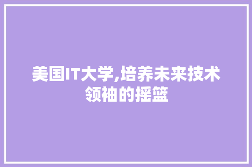 美国IT大学,培养未来技术领袖的摇篮