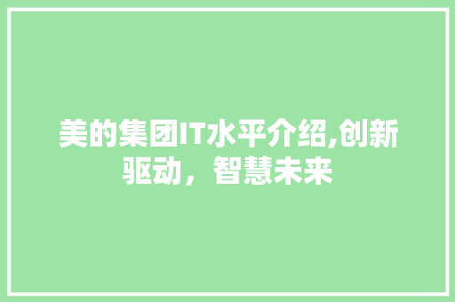 美的集团IT水平介绍,创新驱动，智慧未来