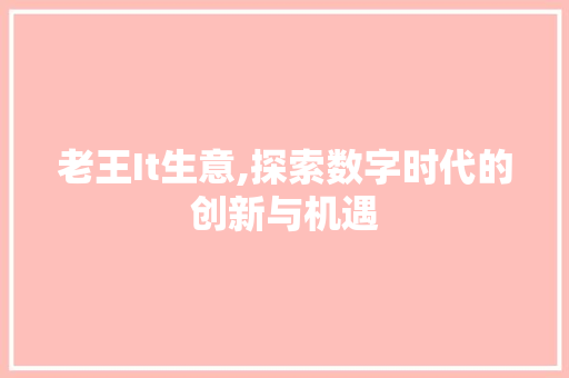 老王It生意,探索数字时代的创新与机遇