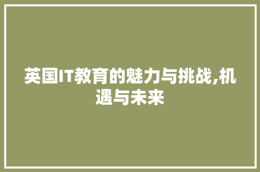 英国IT教育的魅力与挑战,机遇与未来