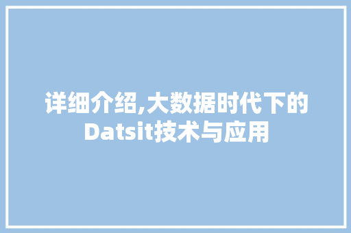 详细介绍,大数据时代下的Datsit技术与应用