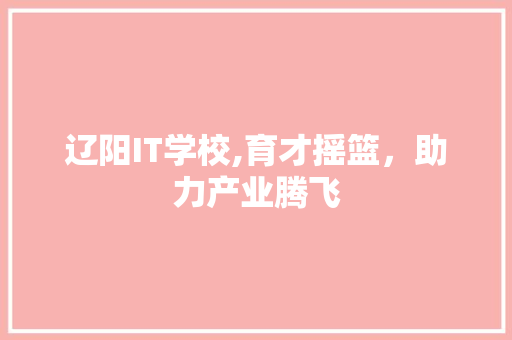 辽阳IT学校,育才摇篮，助力产业腾飞