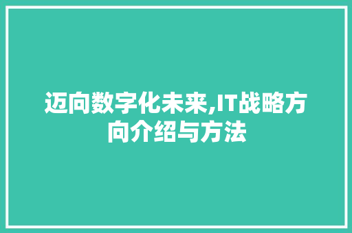 迈向数字化未来,IT战略方向介绍与方法