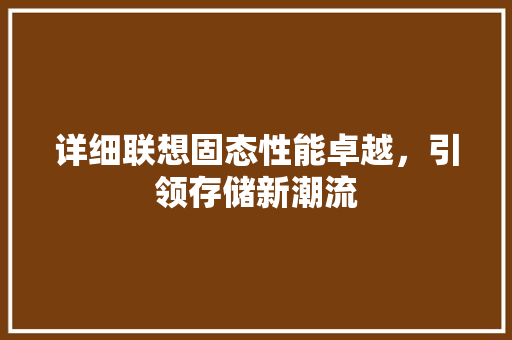 详细联想固态性能卓越，引领存储新潮流