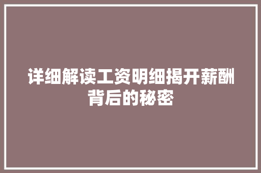 详细解读工资明细揭开薪酬背后的秘密