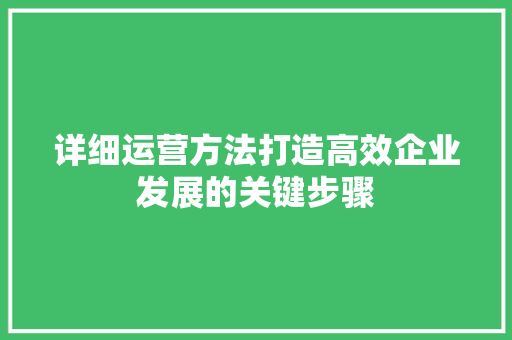 详细运营方法打造高效企业发展的关键步骤