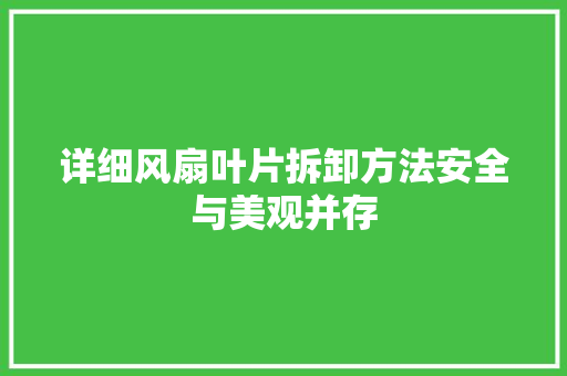 详细风扇叶片拆卸方法安全与美观并存