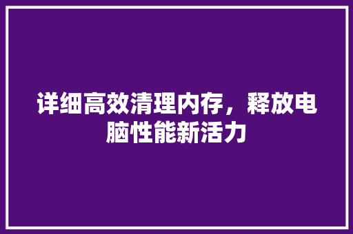 详细高效清理内存，释放电脑性能新活力