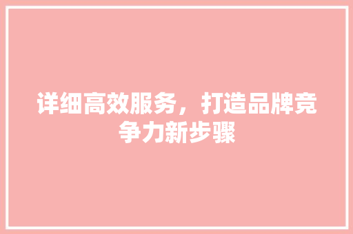 详细高效服务，打造品牌竞争力新步骤