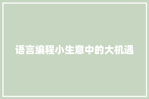 语言编程小生意中的大机遇
