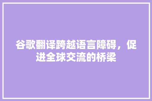 谷歌翻译跨越语言障碍，促进全球交流的桥梁
