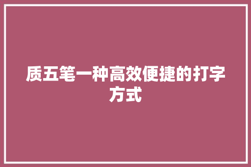 质五笔一种高效便捷的打字方式