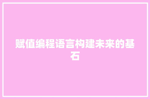 赋值编程语言构建未来的基石